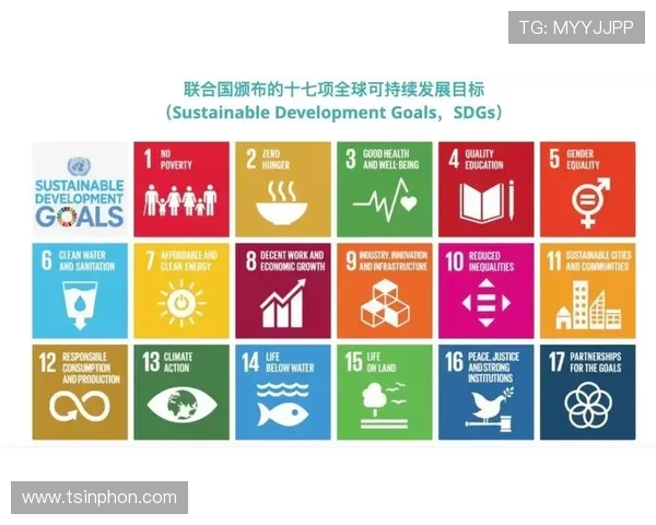 以少数民族企业家为核心探讨民族地区经济创新与可持续发展路径